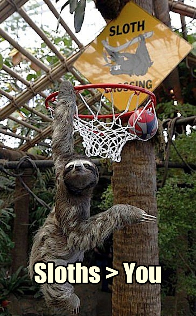 One-handed in your face!