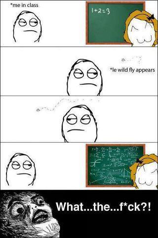 That Wild Fly.