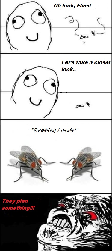 Everytime i see flies doing this..