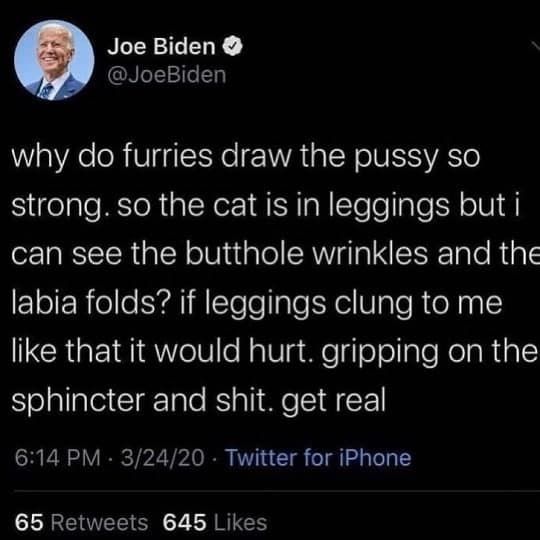 this is why furries hate joe biden