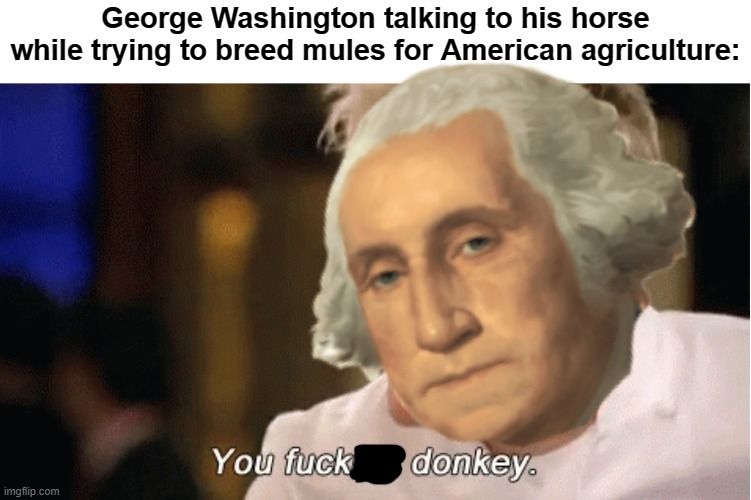Do as General Washington commands; nobody makes an ass out of him