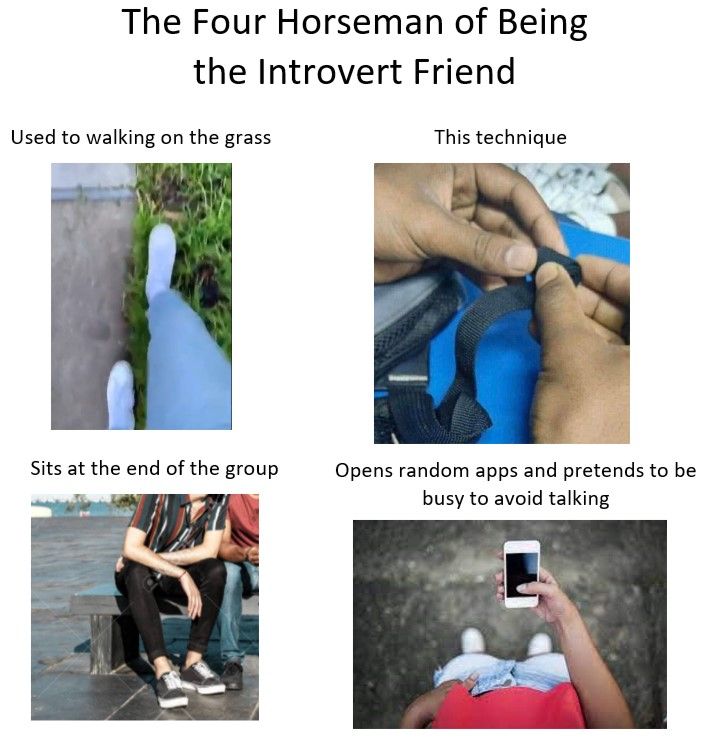 made by a professional introvert