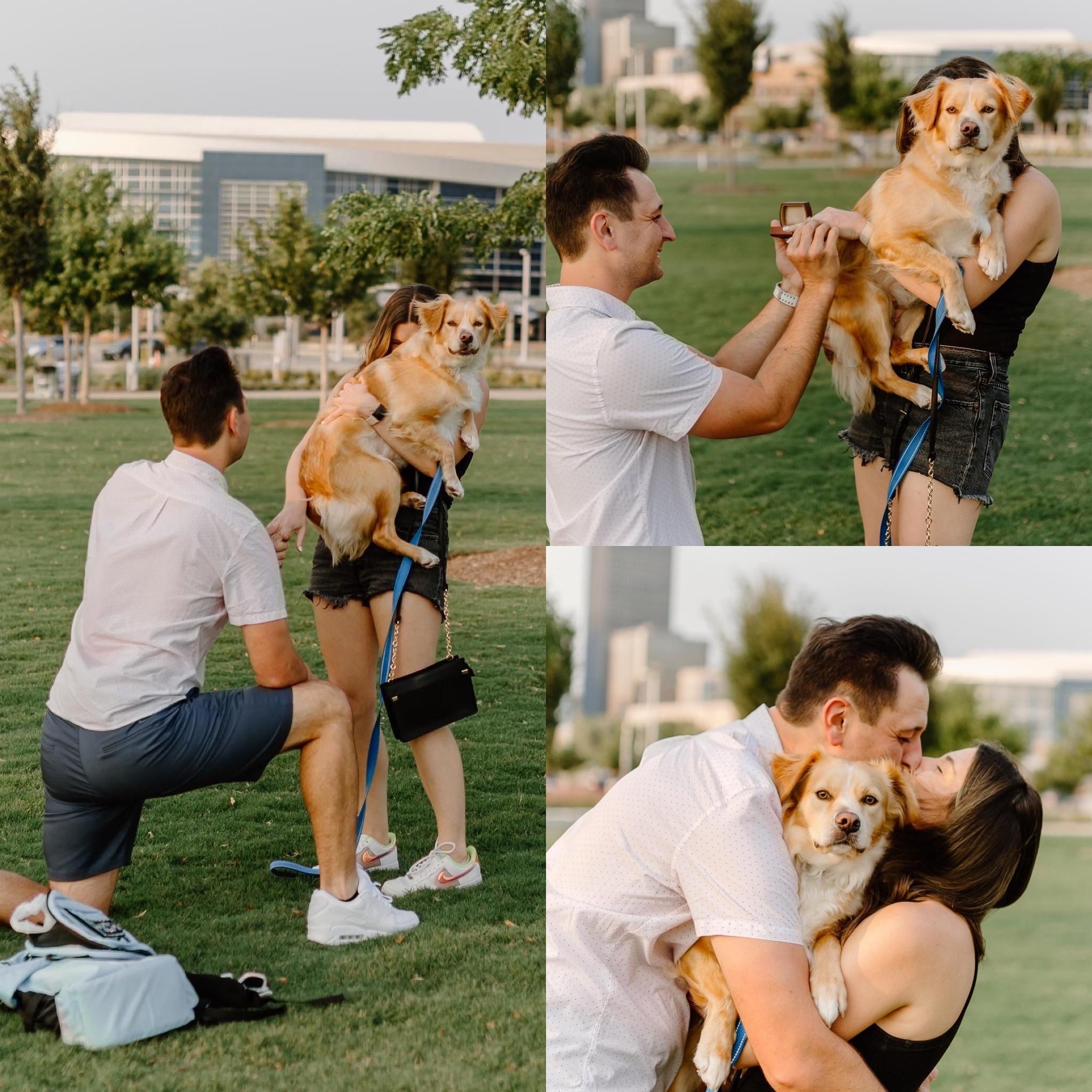 We got engaged, but my dog was absolutely positive the photographer was there for her.