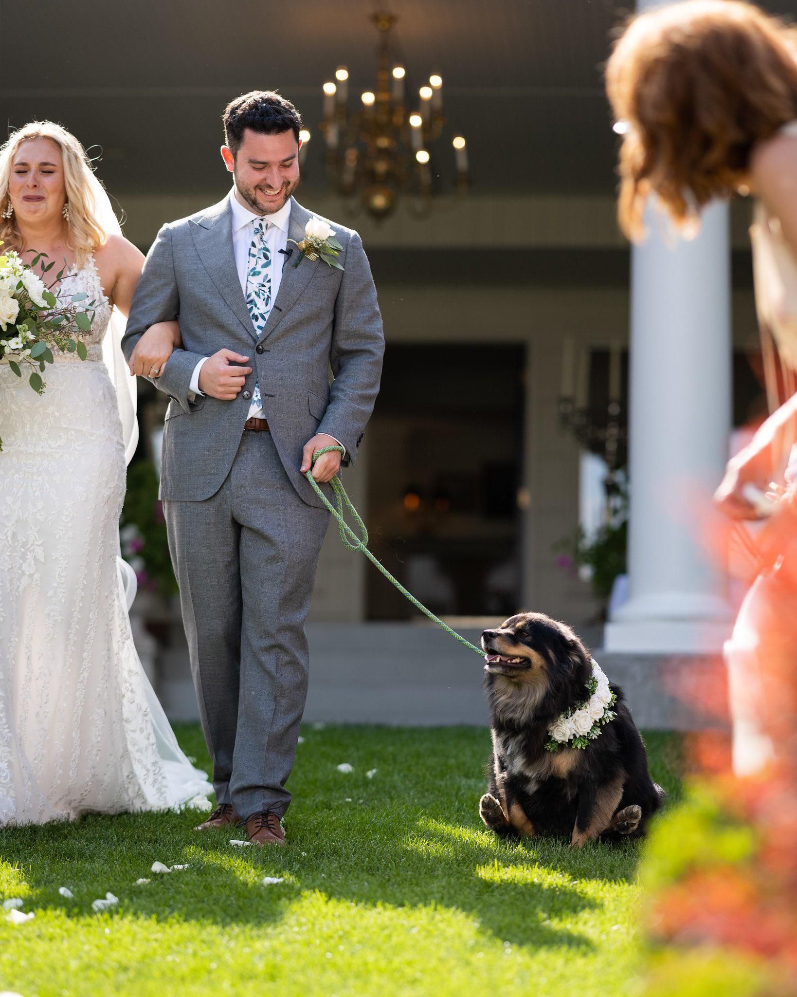 Got married last week, our dog decided to steal the show by scooting his butt down the isle