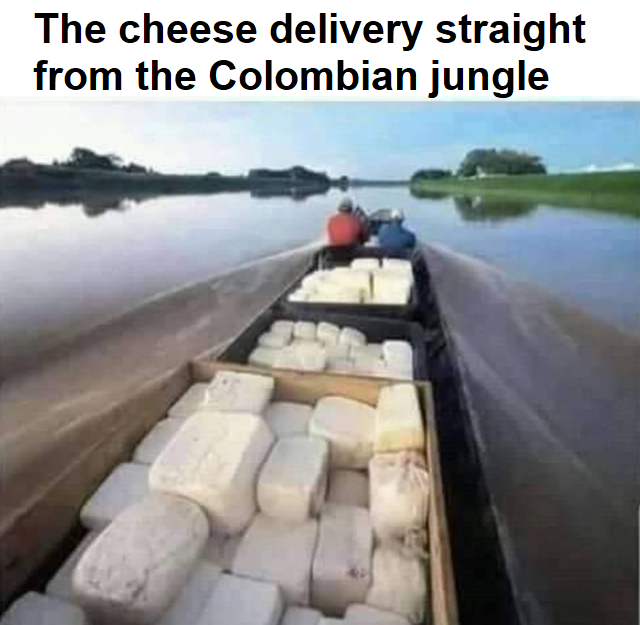 and its vegan