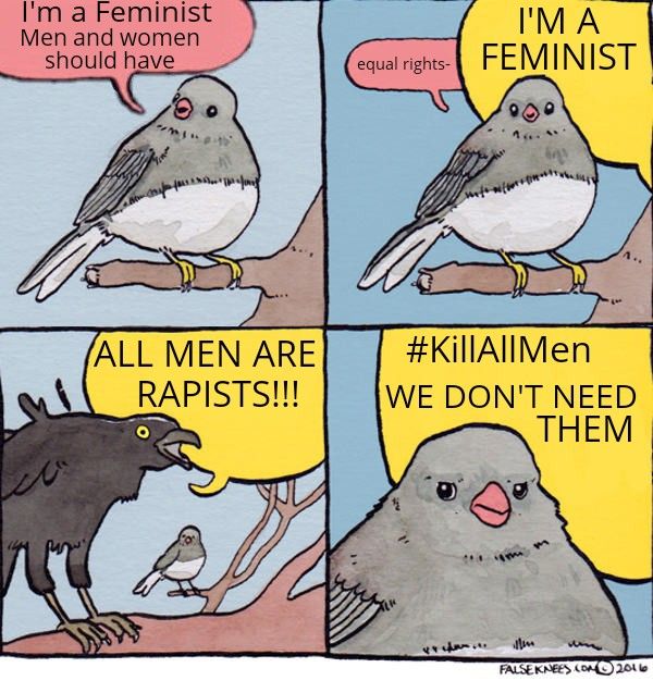 Misandrists ruined the word "Feminism"