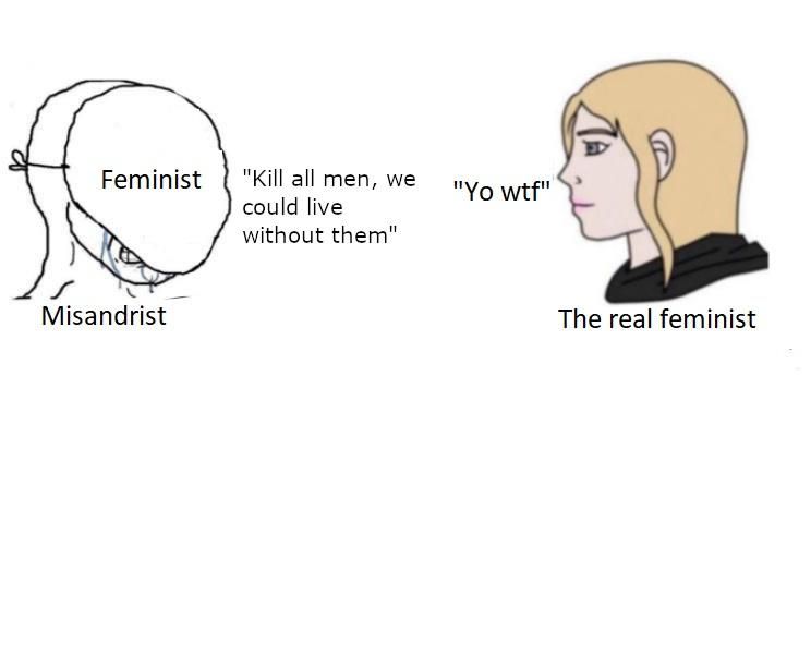 I feel like some people really need to know that feminism ≠ misandry