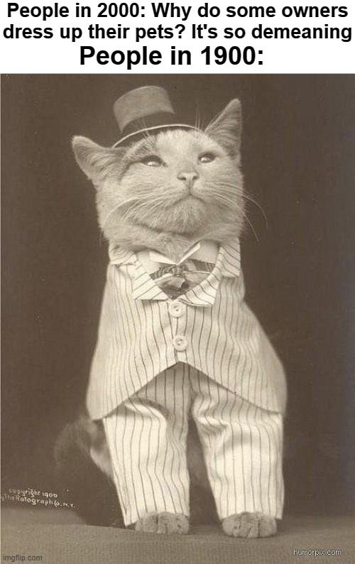 Why Lord Mittens, you look ravishing!
