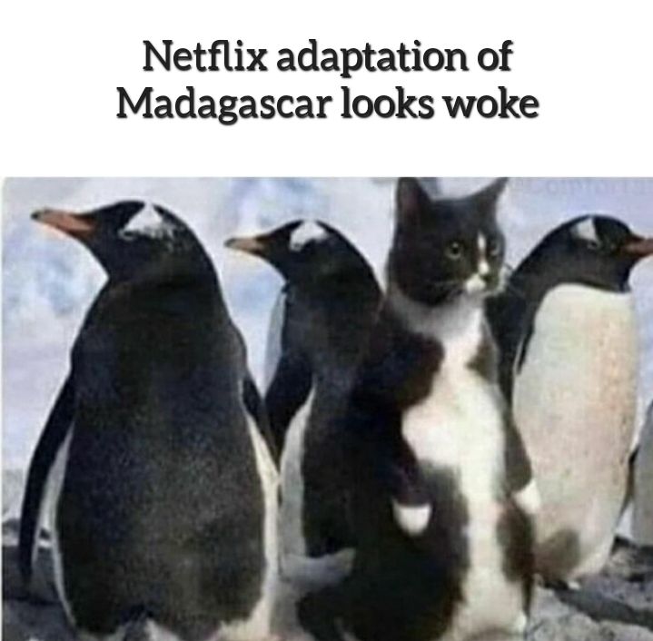 Much inclusive