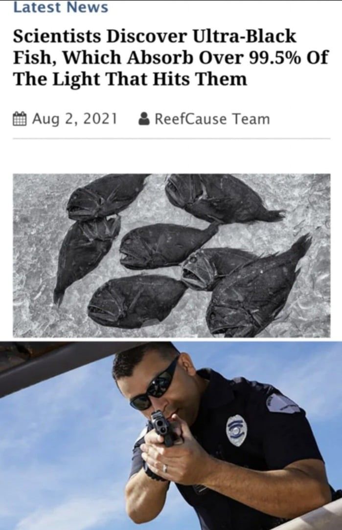 but commit 52% of fish crime