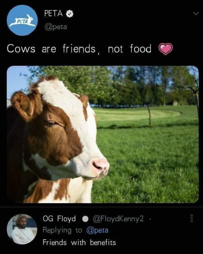 cows are the best