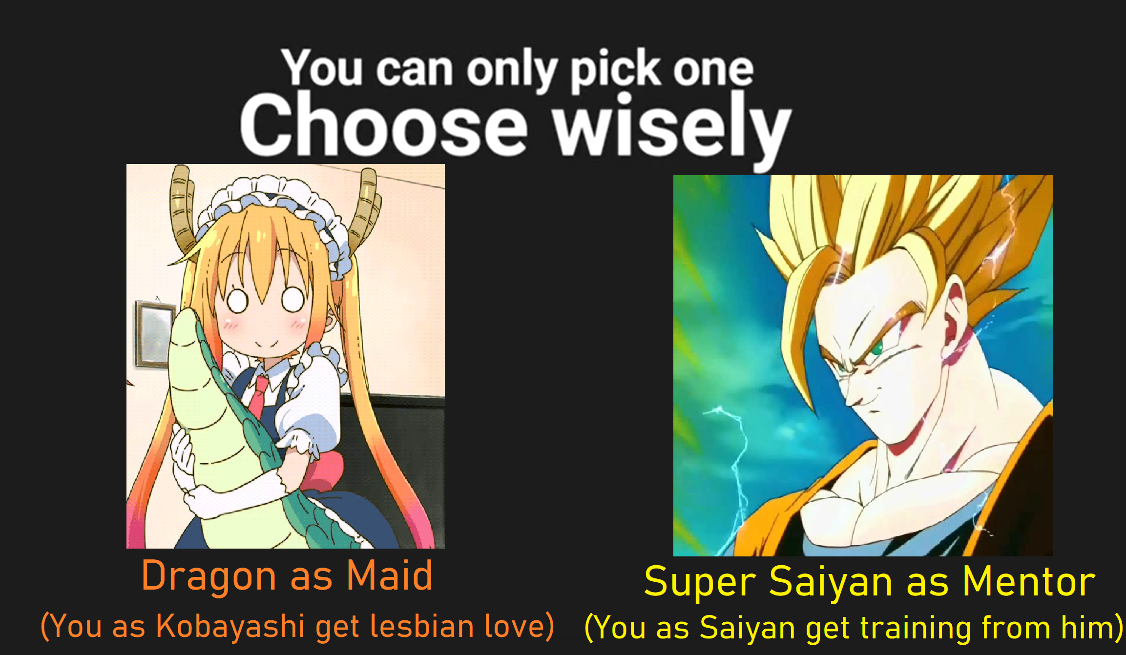 Choose one: Dragon as Maid or Saiyan as Mentor