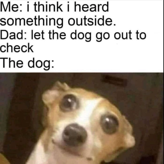 dogs are the best