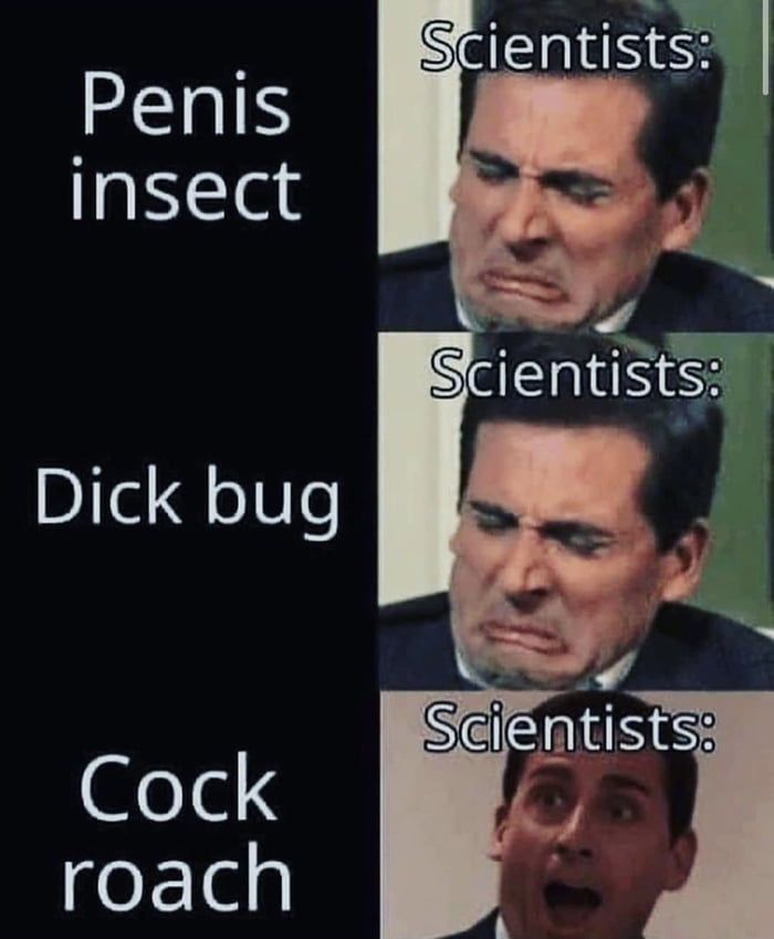 The only good bug is a dead bug