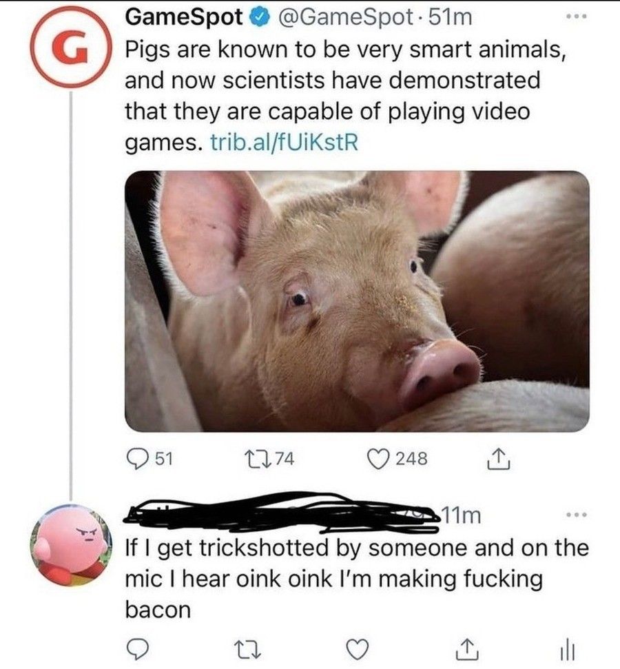 oink oink