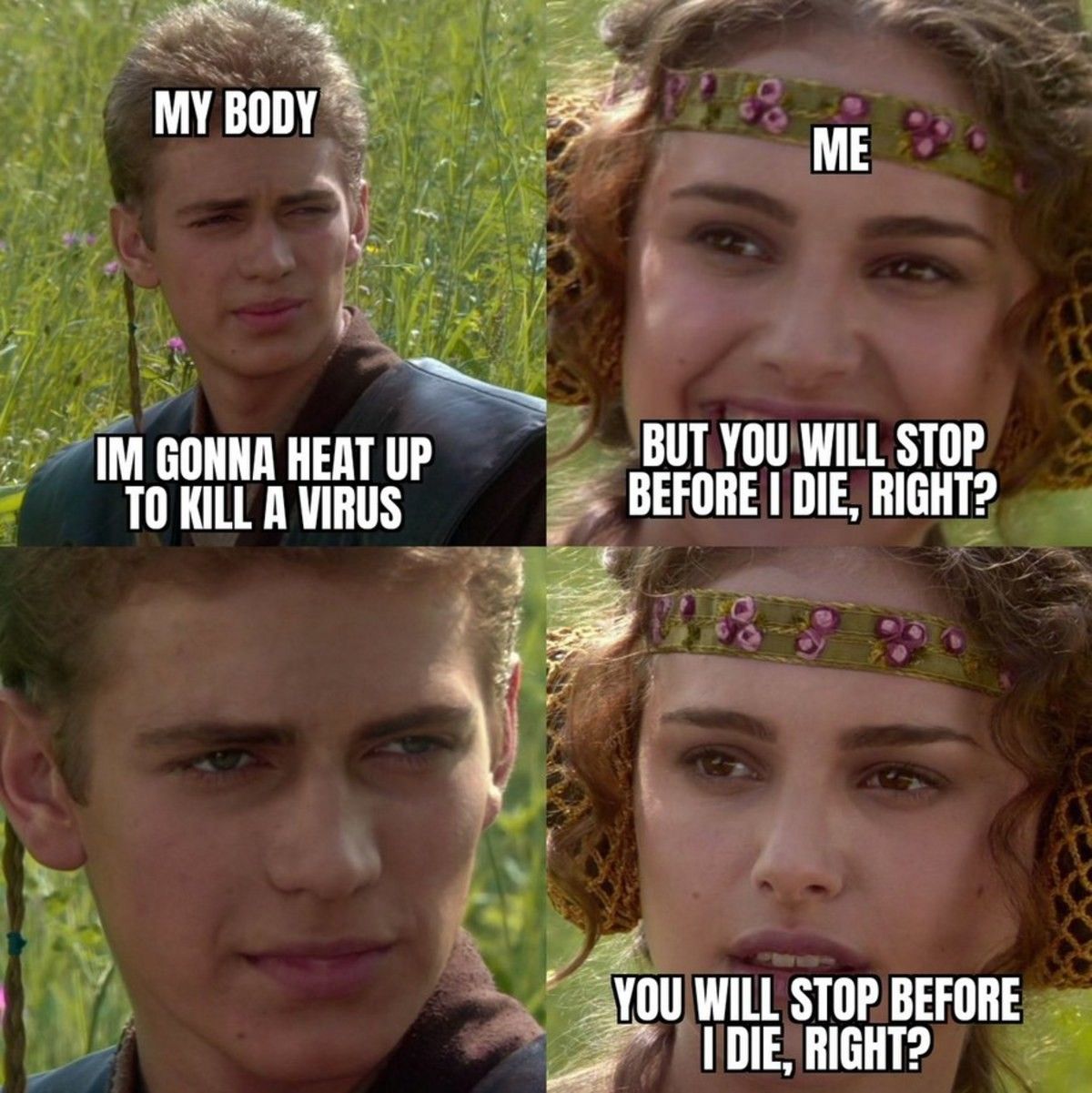 ahh the immune system