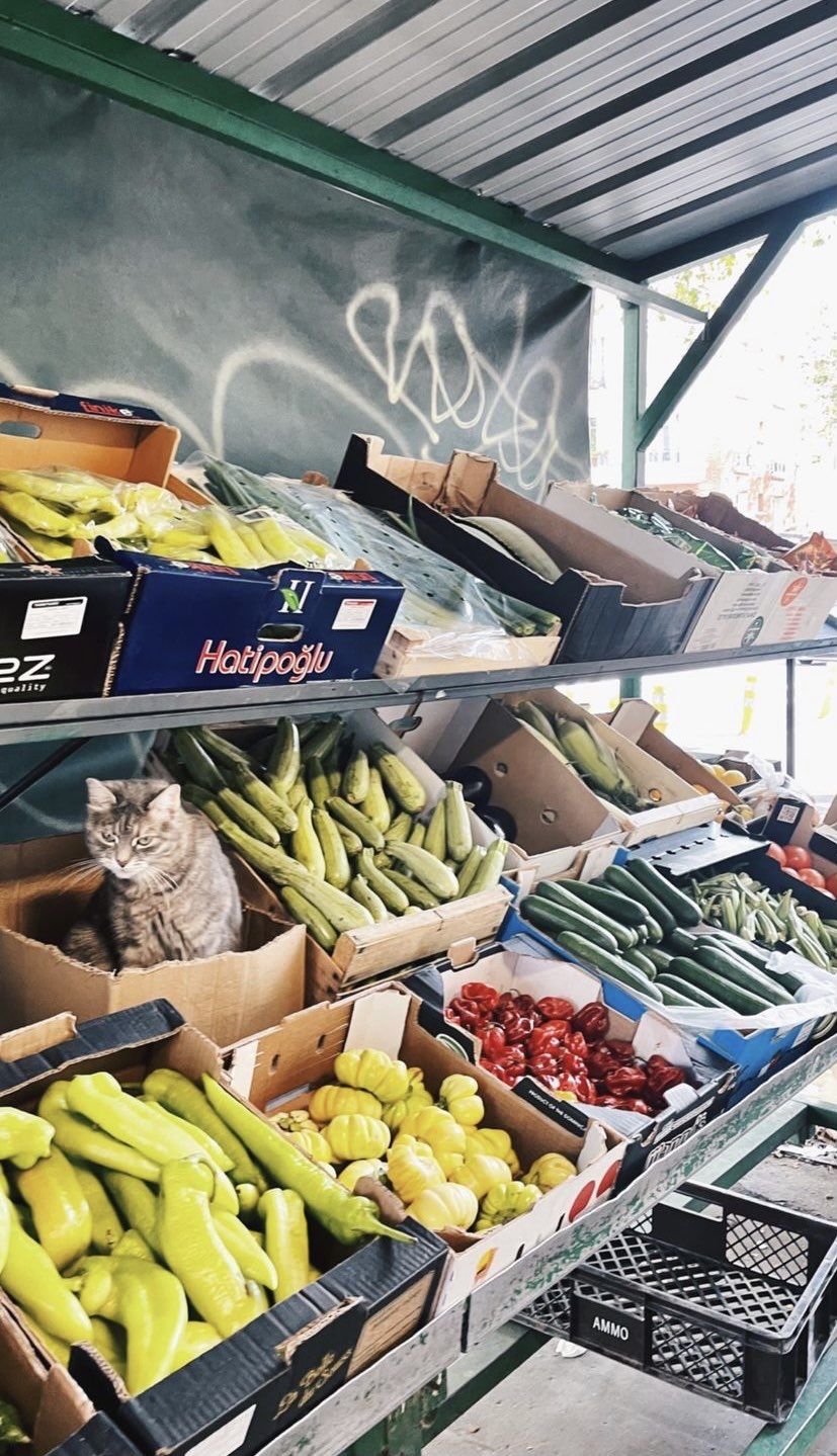 No ma'am, you don't need to weigh it, the avocato is per piece