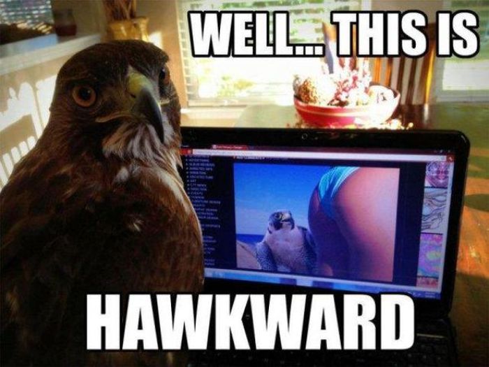 It sure looks that way ....