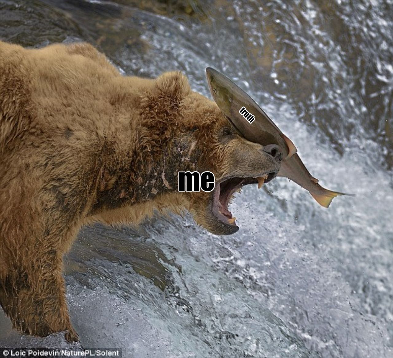 i don't get it