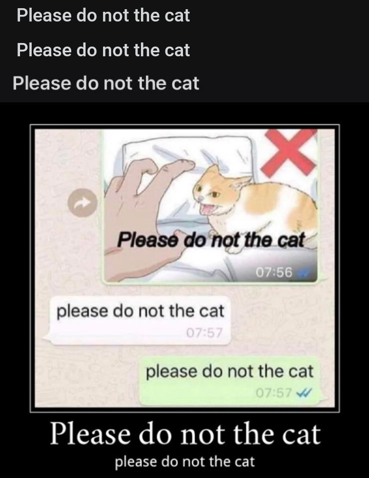 Please do not the cat