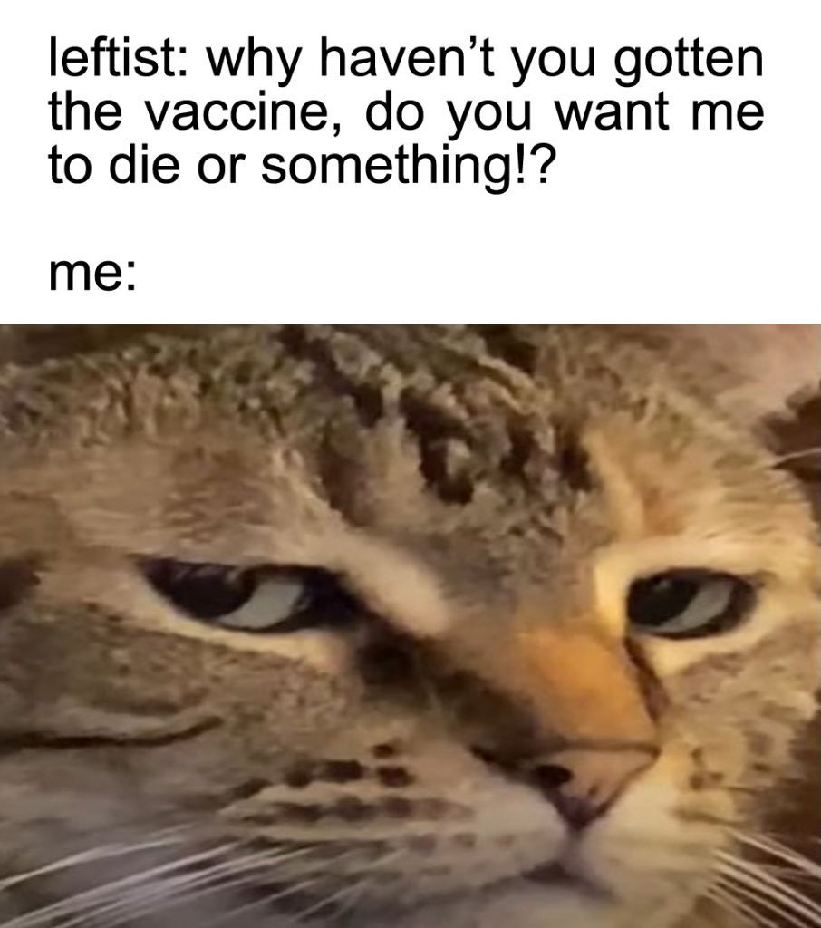 …