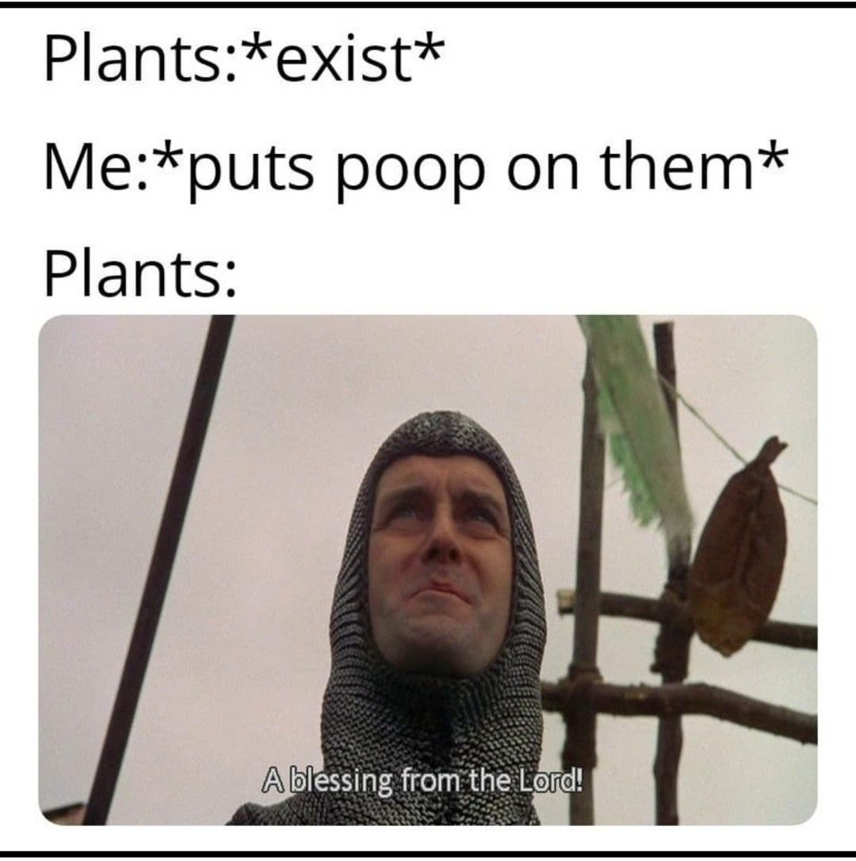 pure shit