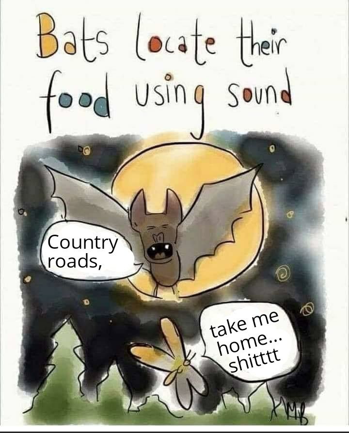 Country roads....