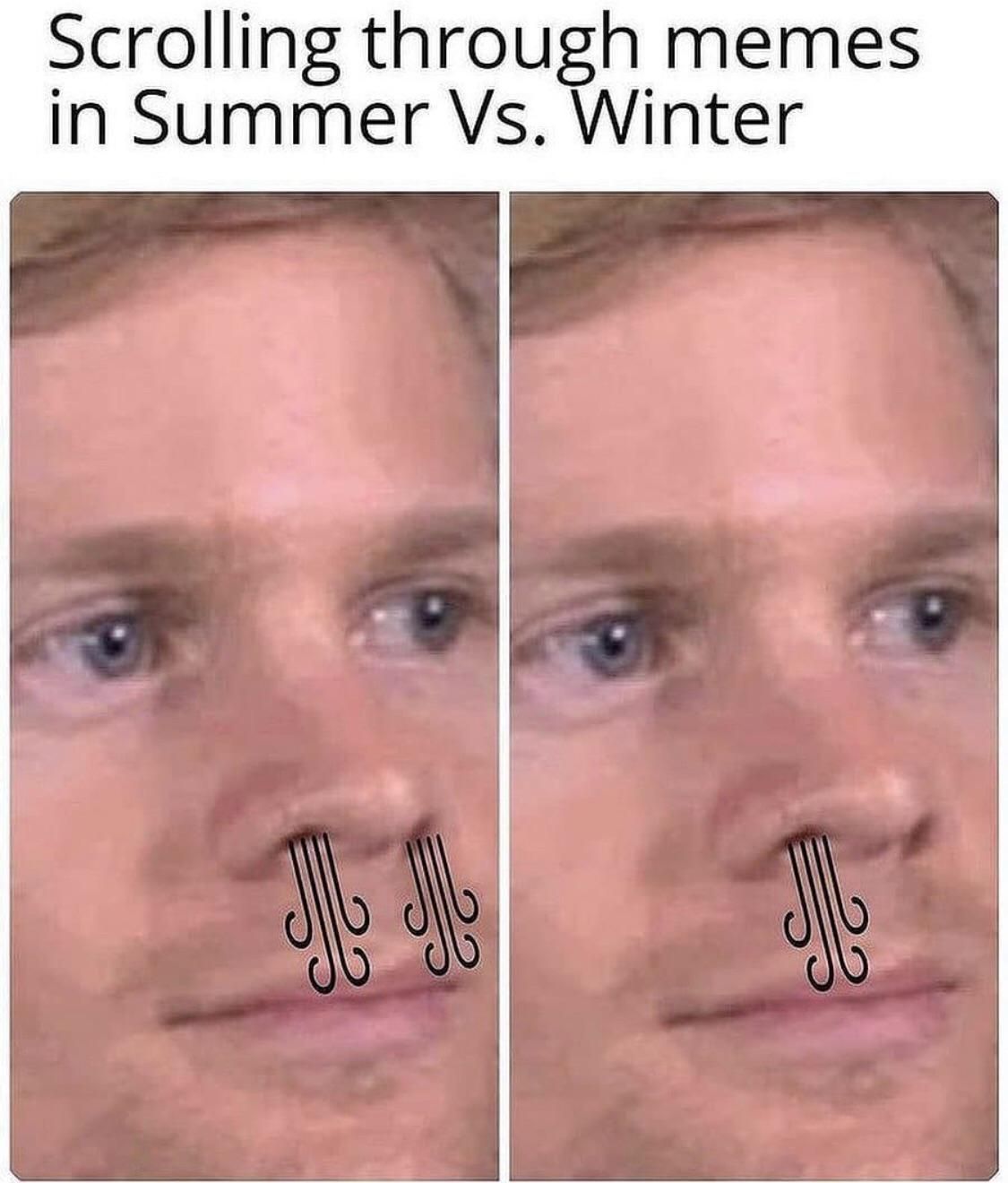 Scrolling through memes in Summer vs Winter.
