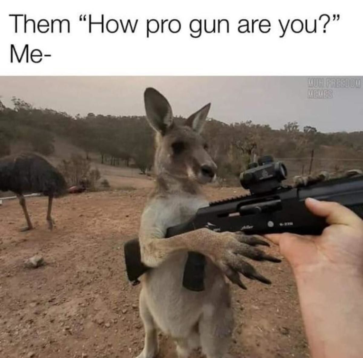 pro