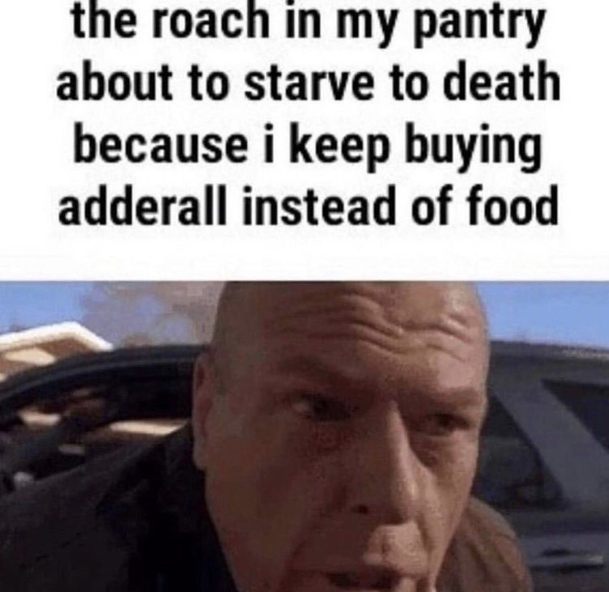 roach or roche