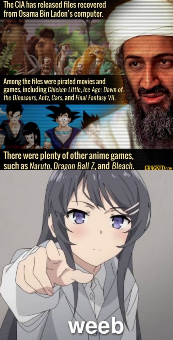 Bin Laden-kun was a weeb