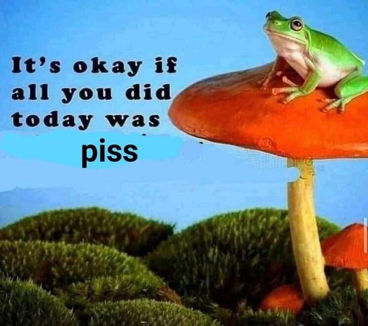 It is Friday my fags