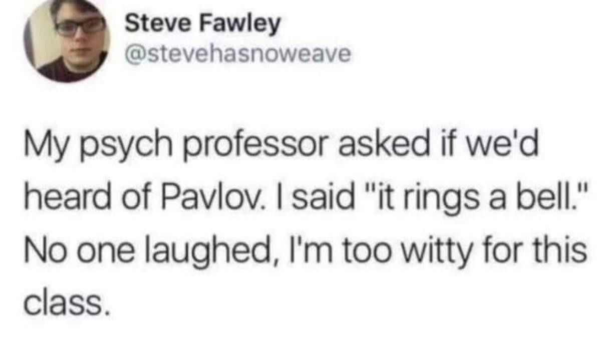 that's cool dog