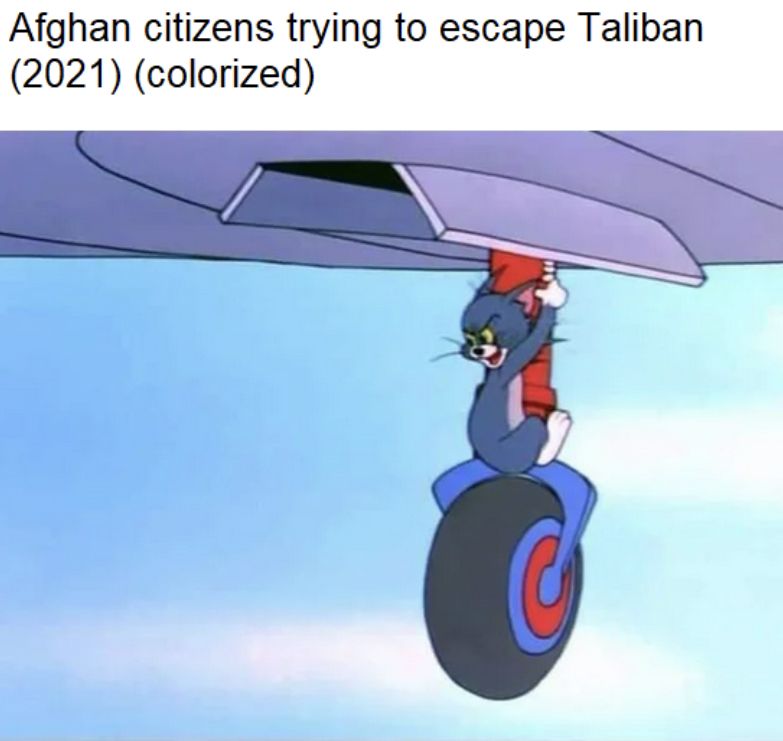 …