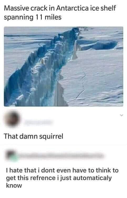 The infamous squirrel