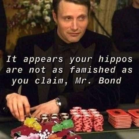 hippo