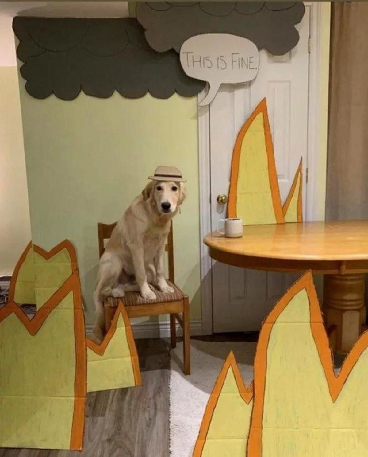 When you drop a fuᴄkload of LSD and the hyperreality sets in