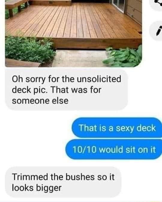 aussies