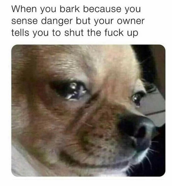 you didn't have to do that man