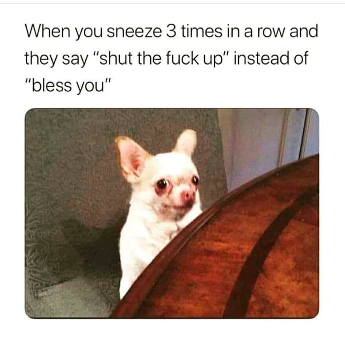 so you sneeze 3 more times
