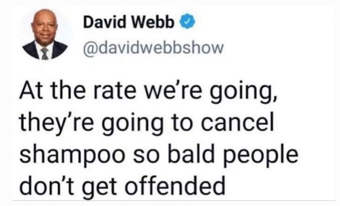 Bald people don't use shampoo? Are they trying to cover their head with mold instead?