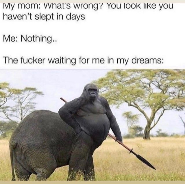 ‎