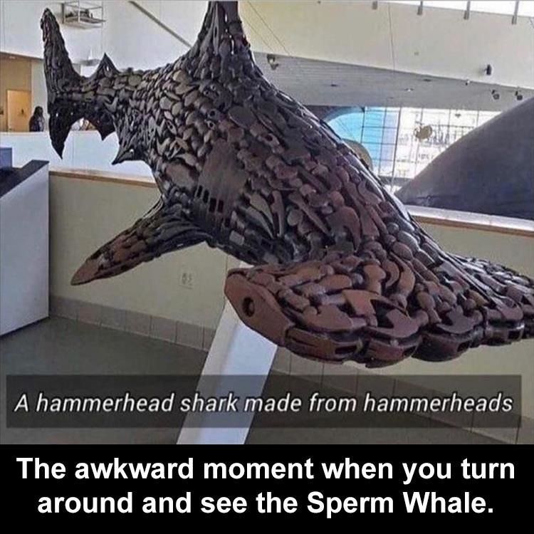 ‎