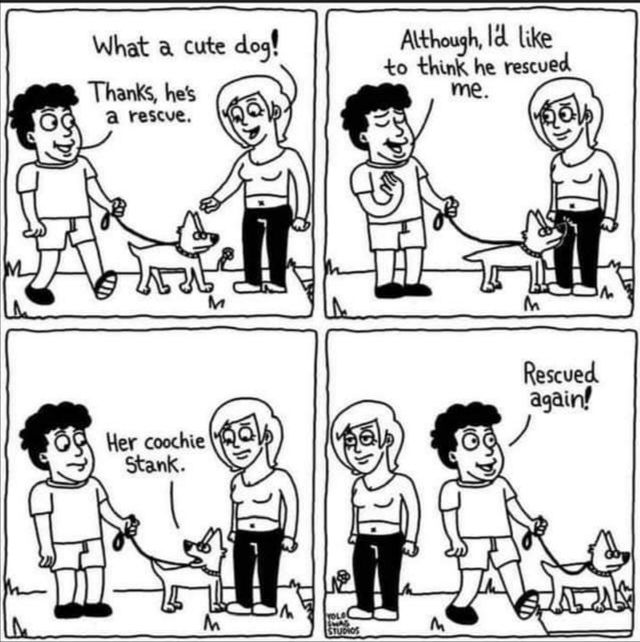 Good Boy