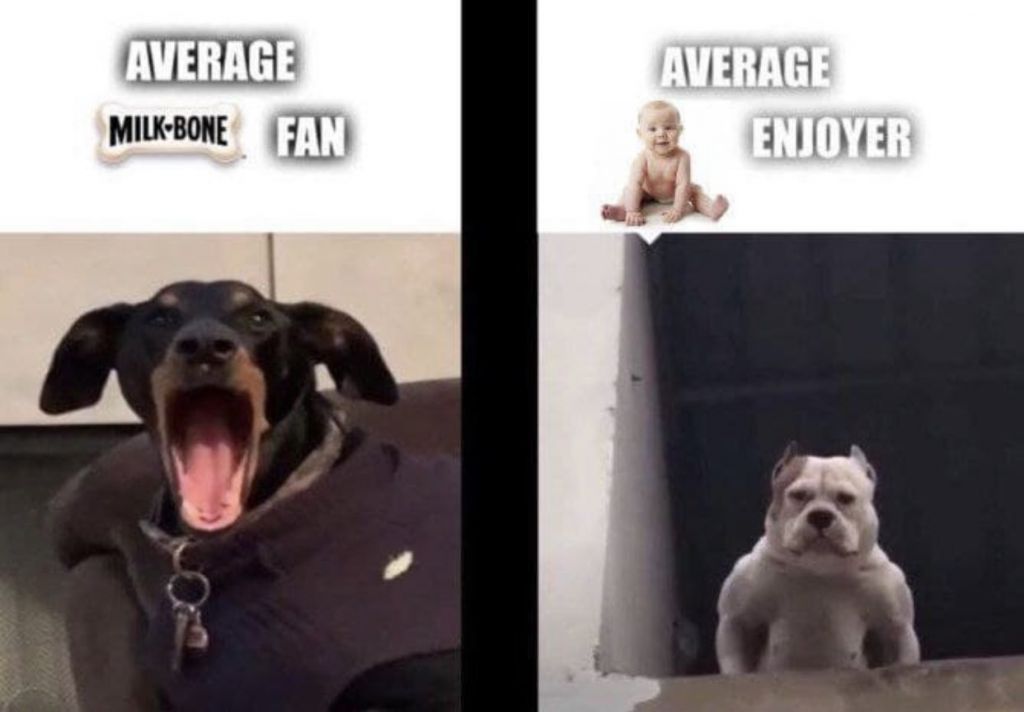 Dogos