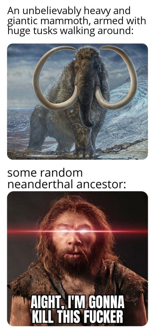 mad ape
