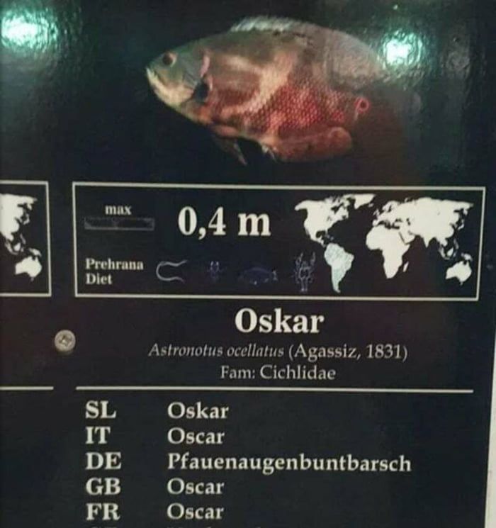 love germany