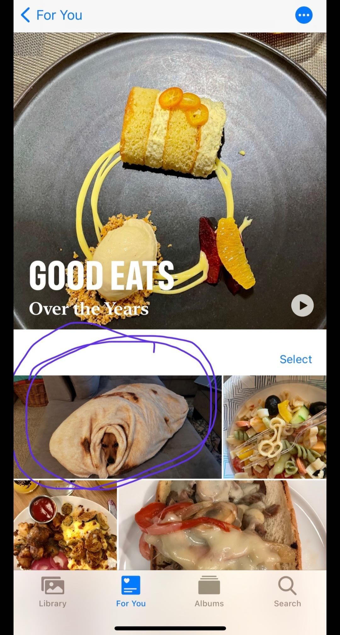 my phone created a "good eats" album and it included my dog wrapped in a tortilla blanket