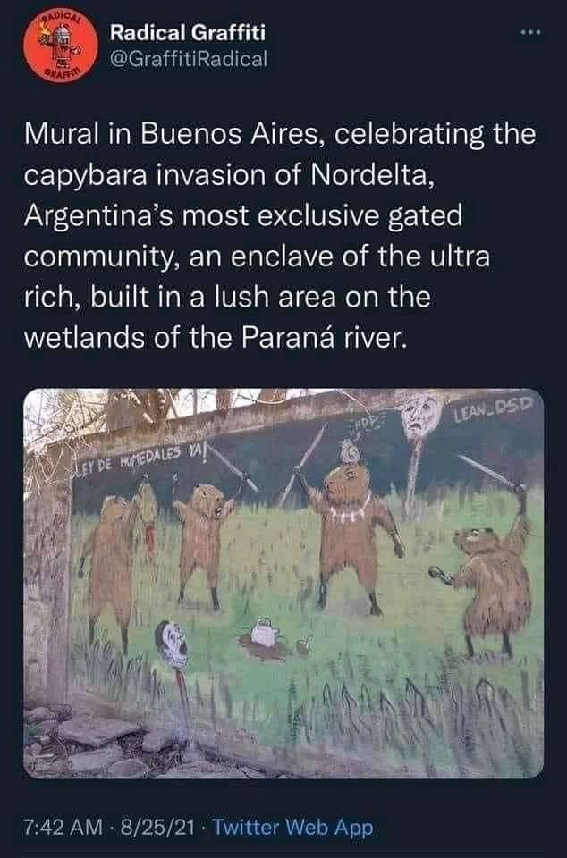 Don't cry for them