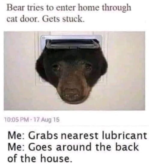 once in a lifetime opportunity